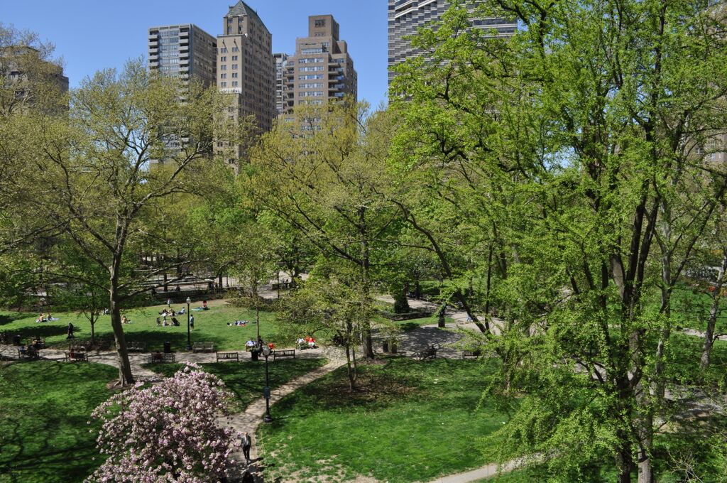 View of Rittenhouse Park with Philadelphia buildings in background